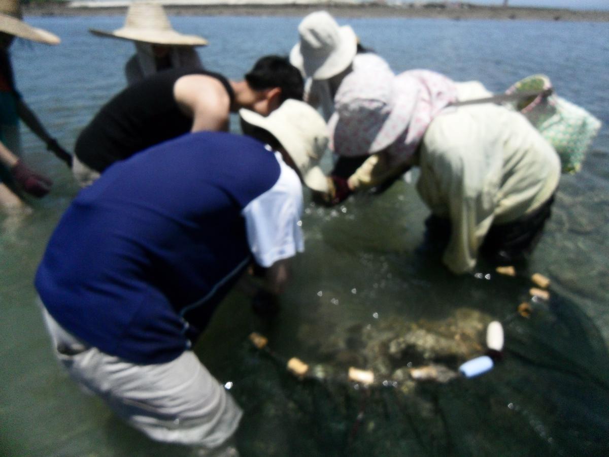 Penghu Chenhi Bay Homestay Pajsa Kültér fotó