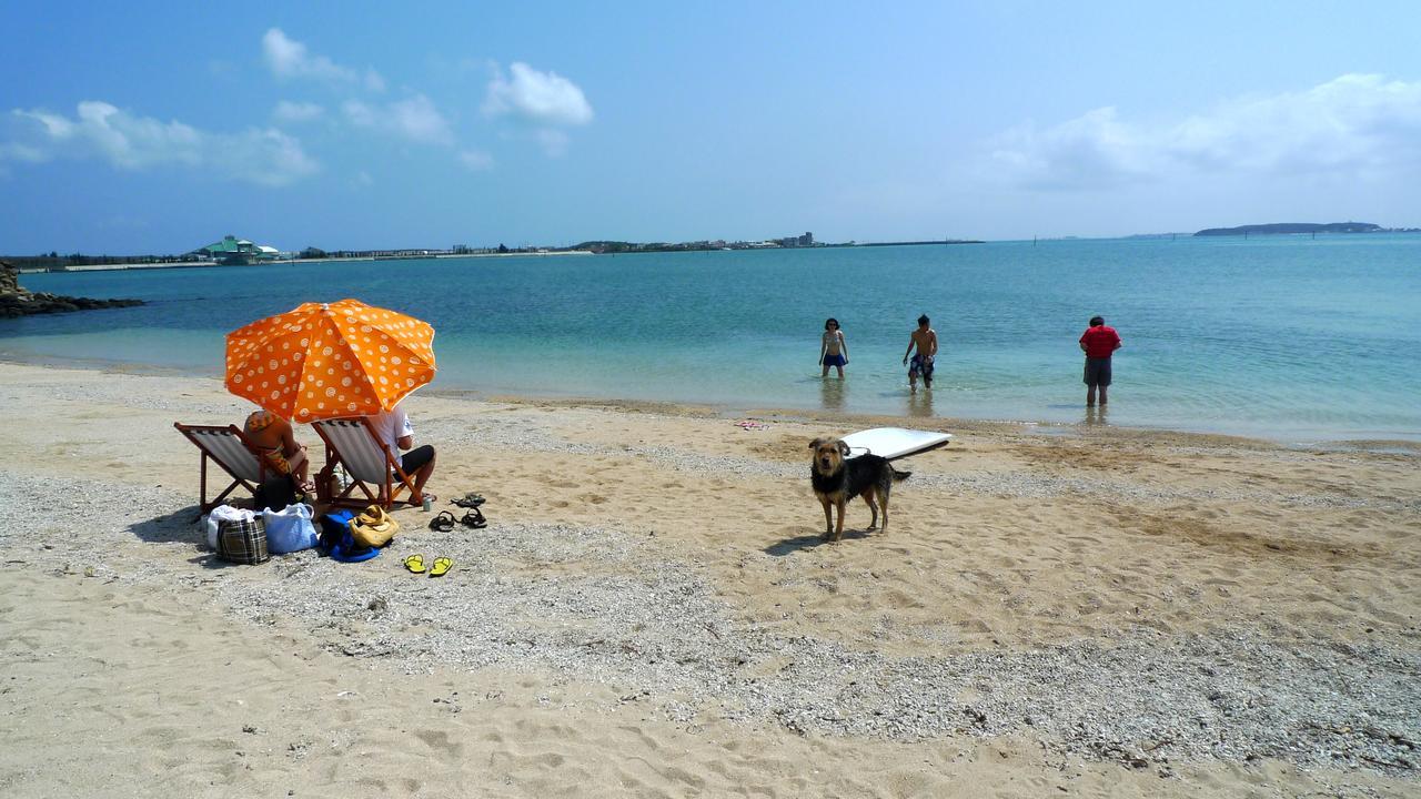 Penghu Chenhi Bay Homestay Pajsa Kültér fotó